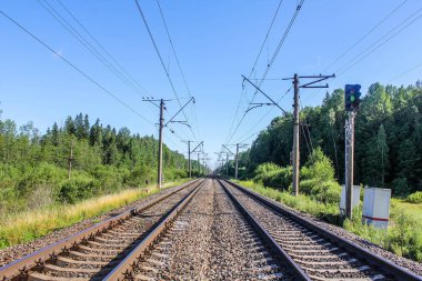 Demiryolu, her tarafı ağaçlarda
