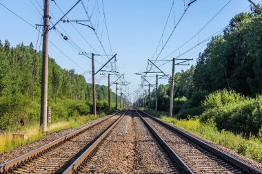 Demiryolu, her tarafı ağaçlarda