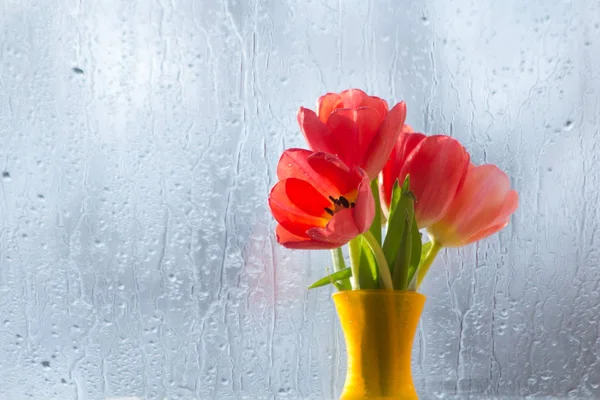 Tulipánok Vázában Egy Ablakpárkány — Stock Fotó