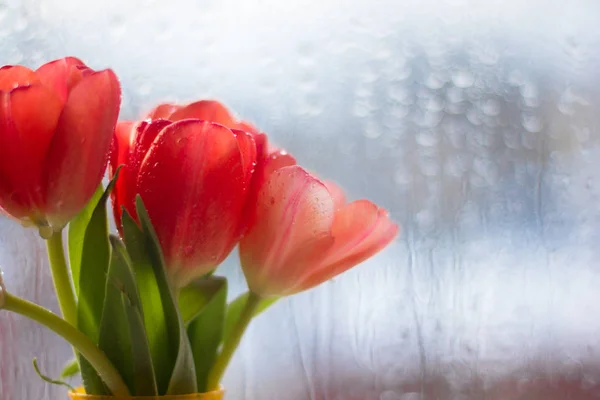 Тюльпаны Вазе Подоконнике — стоковое фото