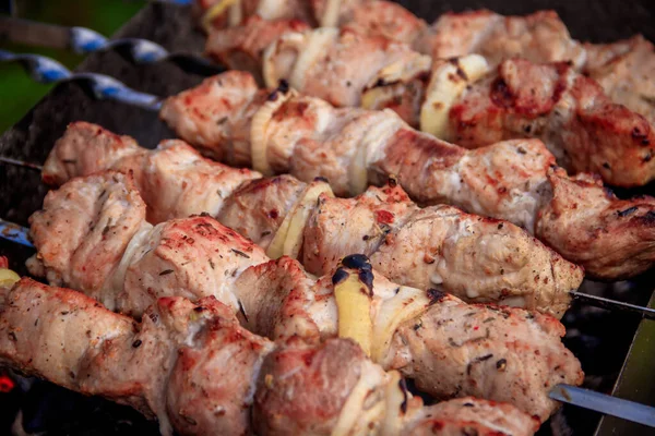 Espetos Carne Com Cebolas Espetos Conceito Cozinha — Fotografia de Stock