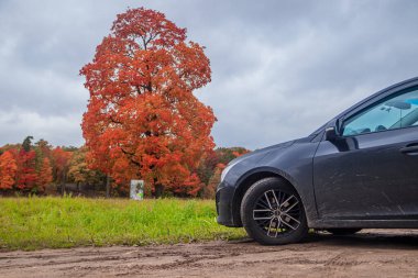 Sonbahar ormanı arka planında arabanın önünü kapatın. 