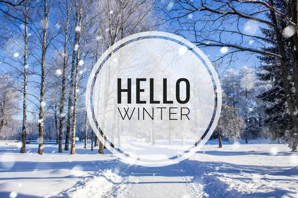Hallo Winter Banner Mit Natürlichem Hintergrund — Stockfoto