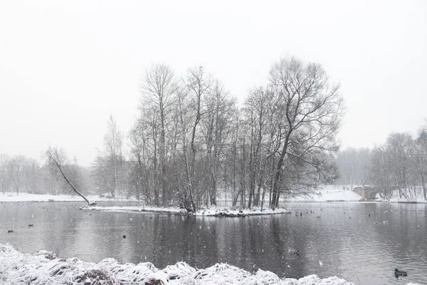 Scenic View Winter Snowy Park Lake — Stock Photo, Image