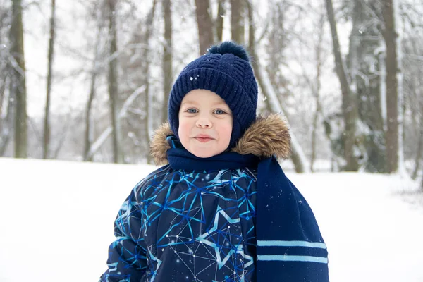 Petit Garçon Marchant Dans Parc Saison Hiver — Photo