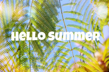 Sancak. Palmiye dallı yaz mevsimi. 