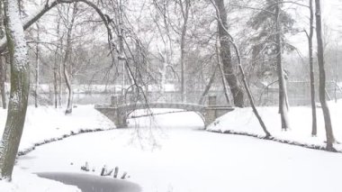 Karlı kış parkının resimli görüntüsü