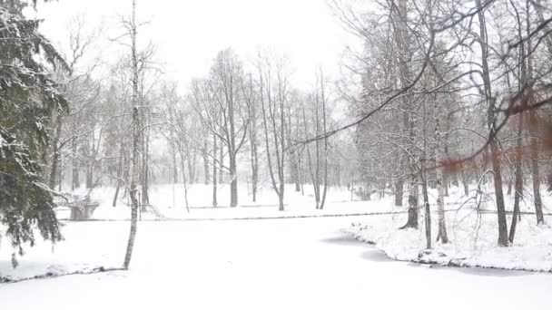 雪の冬公園の絵のような景色 — ストック動画