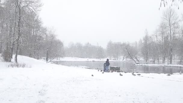 Pittoresk Utsikt Över Sjön Snöig Vinterpark — Stockvideo
