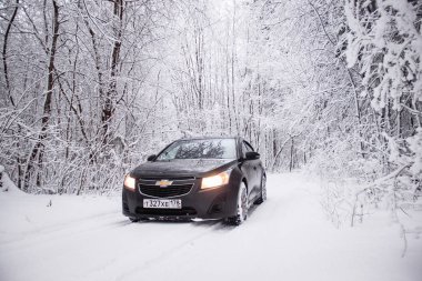 Doğada kışın araba şehir dışında seyahat konsepti.