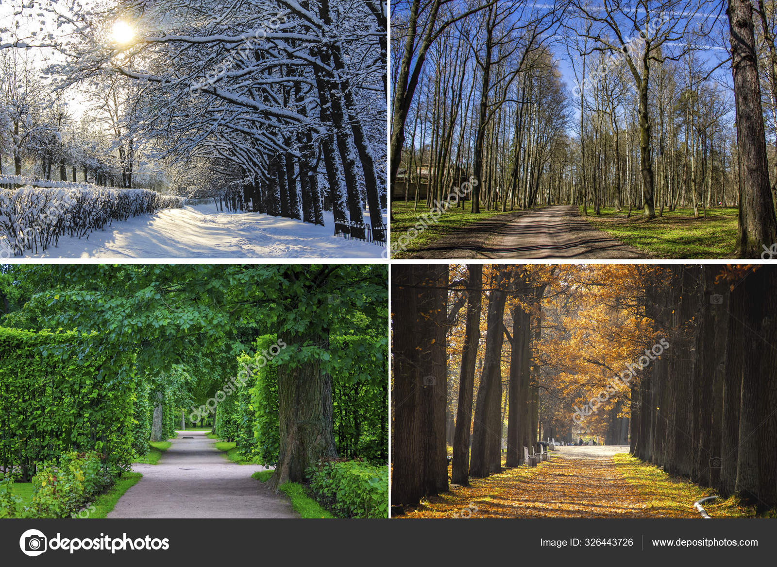 Collage Photos All Seasons Winter Spring Summer Autumn Stock Photo by ...