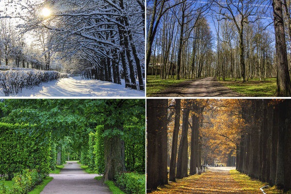 Collage photos, all seasons . Winter, spring, summer, autumn. 