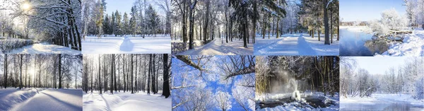 Collage Fotos Del Parque Invierno Nevado — Foto de Stock