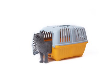 Carrier for cats and small dogs isolated on a white background. safe transportation of animals, article about the transportation of animals. Isolated white background. Gray plastic carry for cats. Vet