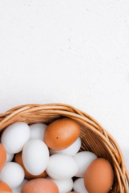 Işık masasındaki havlunun üzerinde tavuk yumurtası. Çiftlik ürünleri ve doğal gıda kavramı. Ev yapımı ürünlerle ilgili makaleler ve reklamlar. Taze tavuk yumurtası. Pankart. Metin için boşluk