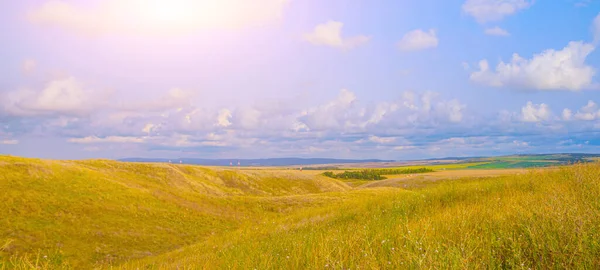 Banner Summer landscape in the field . nature of Russia. Bright landscape with sunlight. Sky and green grass