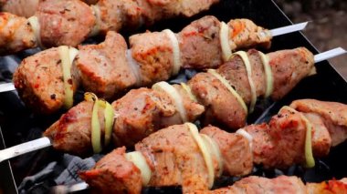 Izgaradaki şişte sulu şişler kızartılmış. Yakından kavrulmuş sulu et. Yaz pikniğinde barbekü.