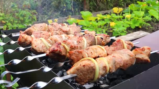 Les brochettes juteuses sont frites sur les brochettes sur le gril. Gros plan sur la viande juteuse rôtie. Barbecue lors d'un pique-nique d'été. — Video