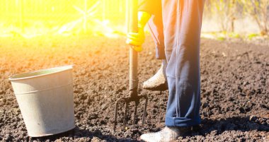 Baharda yatak kazmak. Ekmek. Toprağı ekime hazırlıyorum. Ev bahçesi. Köyde kendini izole etme. Ev hanımı. İlkbaharda ekin ekimi hakkında bir makale. Verimli topraklar