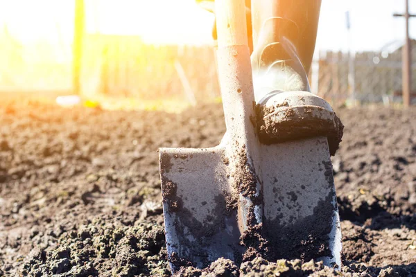 Digging of beds in the spring. Sowing. Preparing the soil for sowing. Home garden. Self-isolation in the village. Household. An article about soil preparation in spring for sowing. Fertile land