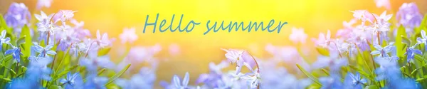 Hej Sommar Banderoll Hej Sommar Text Blommig Bakgrund Hej Sommar — Stockfoto