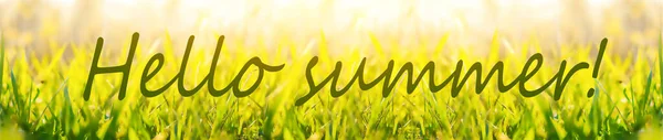 Hallo Sommer Banner Text Auf Foto Mit Gras Grünes Gras — Stockfoto