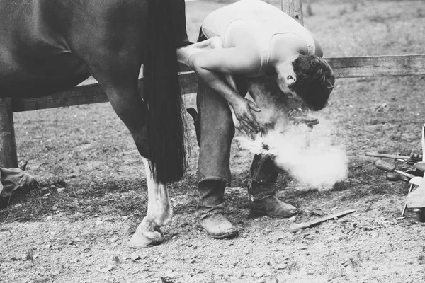 Prawdziwy strzał podkucia konia, kowalskie — Zdjęcie stockowe