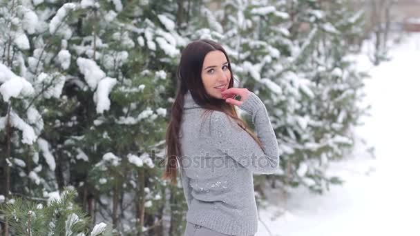 Mooi sexy meisje poseren in sneeuw bos — Stockvideo