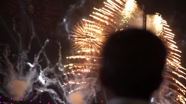 La gente guarda i fuochi d'artificio — Video Stock