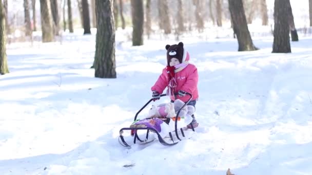 Das kleine Mädchen im verschneiten Wald mit Schlitten — Stockvideo