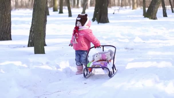 Little girl with sled in the forest — Stock Video