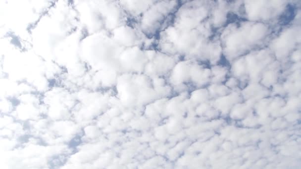 Cielo azul con hermosas nubes — Vídeo de stock