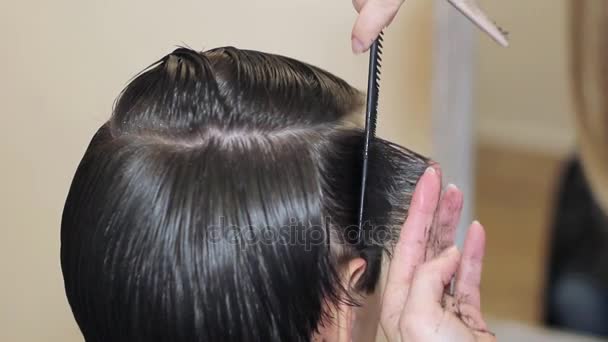 Mujer consiguiendo un corte de pelo por un peluquero profesional usando peine y tijeras de aseo — Vídeos de Stock