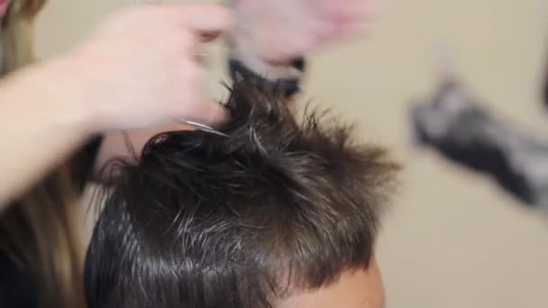 Girl hairdresser makes hairstyle guy — Stock Video