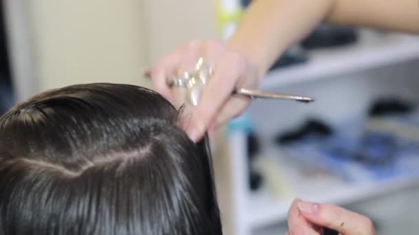 Mujer consiguiendo un corte de pelo por un peluquero profesional usando peine y tijeras de aseo — Vídeo de stock