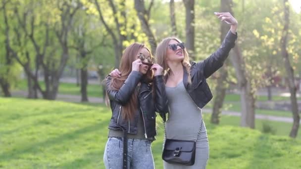 Blond och brunett gör en gemensam selfie i naturen — Stockvideo