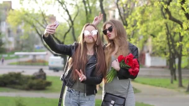 Blond och brunett gör en gemensam selfie i naturen — Stockvideo