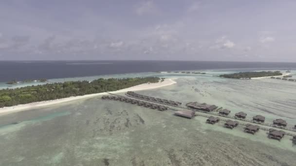 Islands in Maldives from aerial view — Stock Video