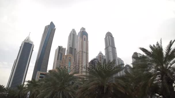 Opzoeken van de palmbladeren in de richting van hoge gebouwen — Stockvideo