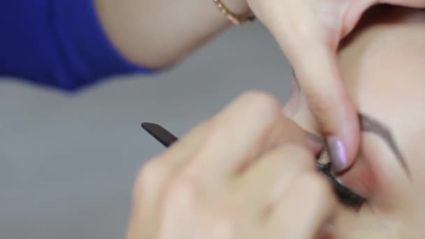 Maquillar artista haciendo profesional maquillaje de mujer joven — Vídeos de Stock