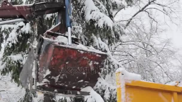 El cubo del tractor limpia la nieve — Vídeo de stock