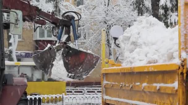 Wiadro ciągnika oczyszcza śnieg — Wideo stockowe