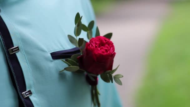 Boutonniere de uma rosa em uma camisa de testemunhas de casamento — Vídeo de Stock