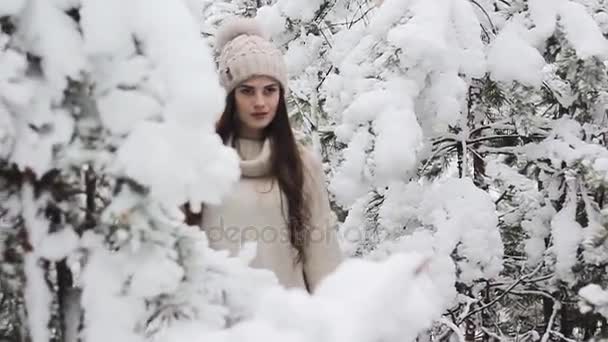 一个美丽的女孩走在白雪覆盖的森林里 — 图库视频影像