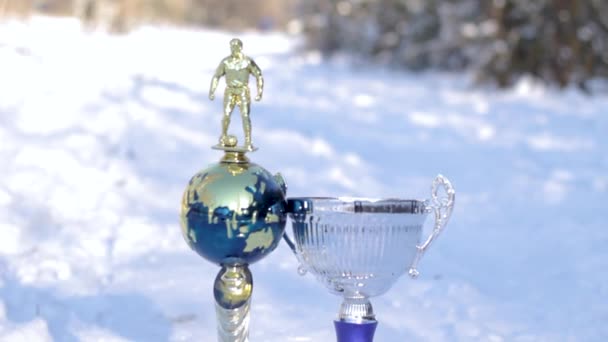 Tazas de fútbol de metal al aire libre — Vídeos de Stock