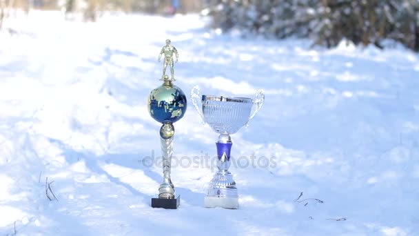 Twee metalen voetbal kopjes — Stockvideo