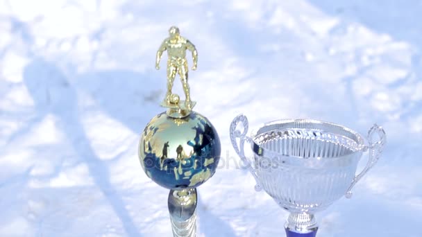 两个金属足球杯 — 图库视频影像