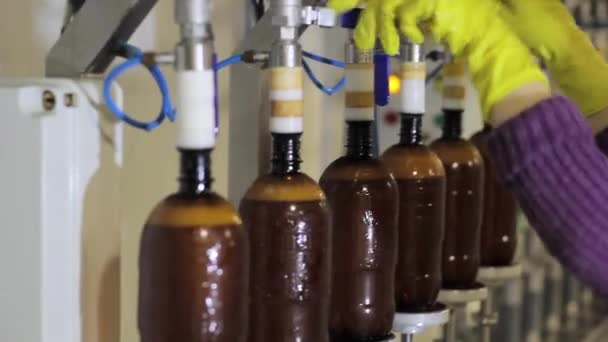 Worker pours bottled beer at the factory — Stock Video