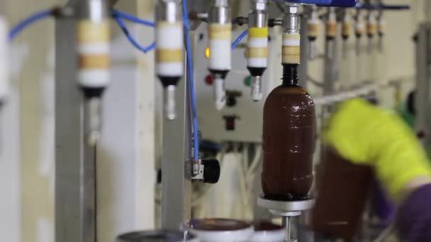 Bierabfüllung in der Bierfabrik — Stockvideo