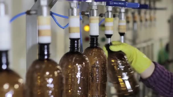 Embotellando cerveza en la fábrica de cerveza — Vídeos de Stock